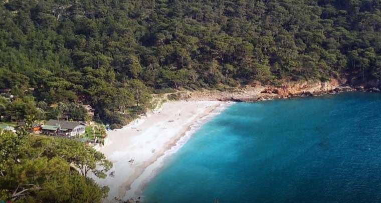 kabak koyu