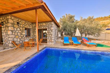 Villa Amadeus-2 1