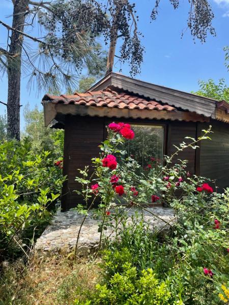 Villa Muskat, Kalkan Bölgesinde, Muhafazakar Villa ve 2 Odalı 3
