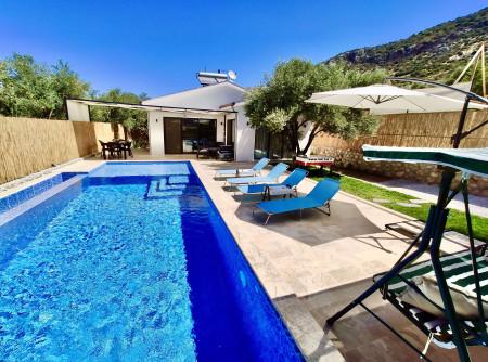 Villa Baki, Süit Odalı, Jakuzili, Çocuk Havuzlu Lüks Villa 1