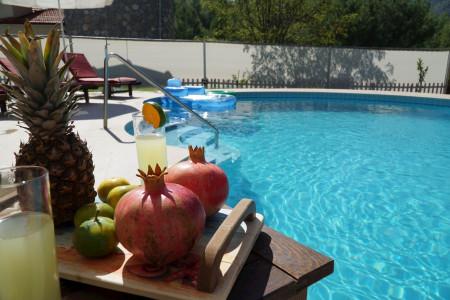 Villa Papatya, Doğa İçerisinde, Korunaklı Geniş Havuzlu Villa 2