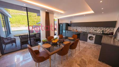 Villa Lady-1, Evcil Hayvan İzinli, Jakuzili, Lüks Villa 3